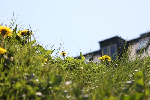 ./20080504-123919.jpg