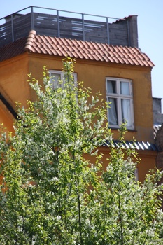 ./20080504-124115.jpg