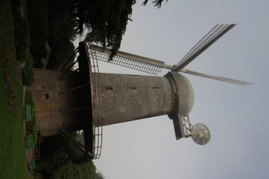 ./20131113-205233.jpg