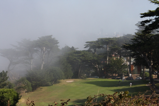 ./20131113-213706.jpg