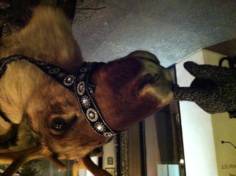 ./20101211-204446.jpg