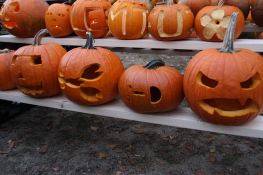 ./20131019-223158.jpg