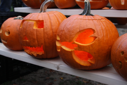 ./20131019-223422.jpg