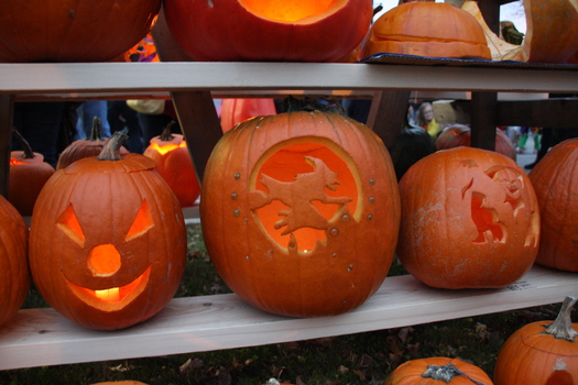 ./20131019-231429.jpg