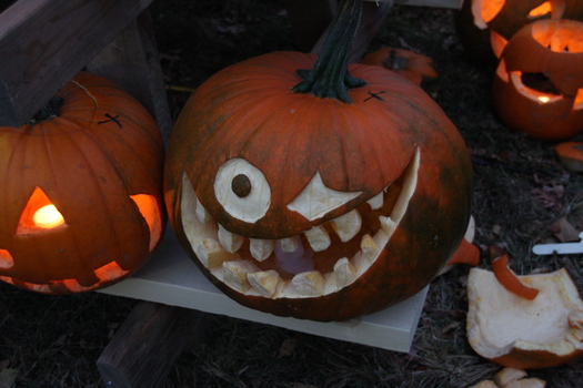 ./20131019-231758.jpg