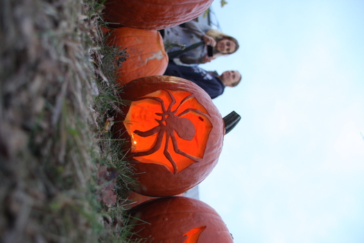 ./20131019-231912.jpg