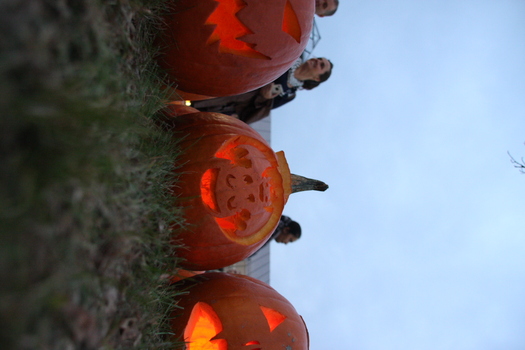 ./20131019-231923.jpg