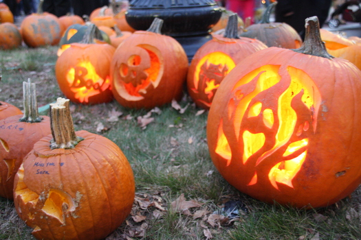 ./20131019-232224.jpg