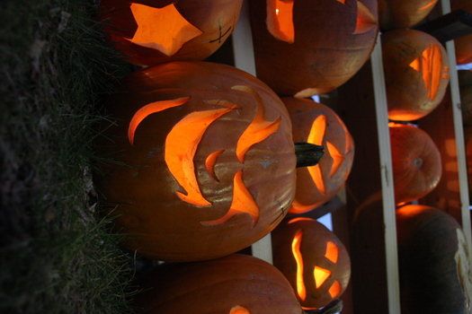 ./20131019-232552.jpg