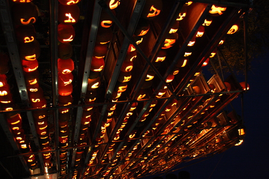 ./20131019-234317.jpg