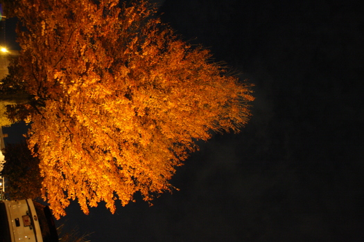./20131020-015000.jpg