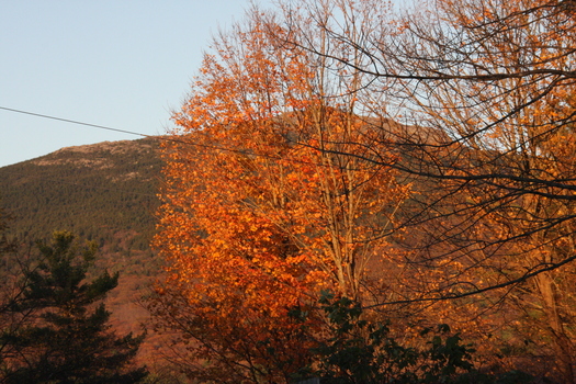 ./20131020-224133.jpg