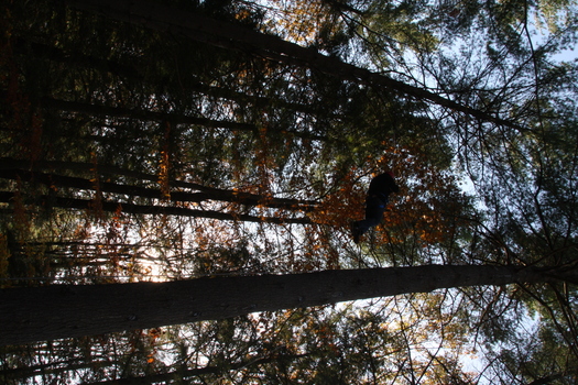 ./20131021-204742.jpg