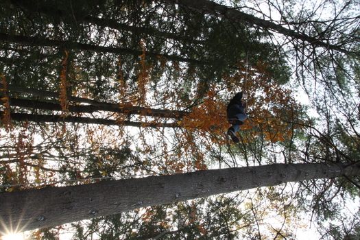 ./20131021-212651.jpg
