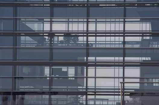 ./20090820-145429.jpg