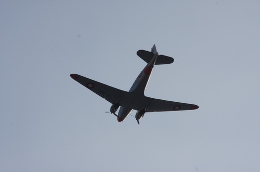 ./20090820-162728.jpg