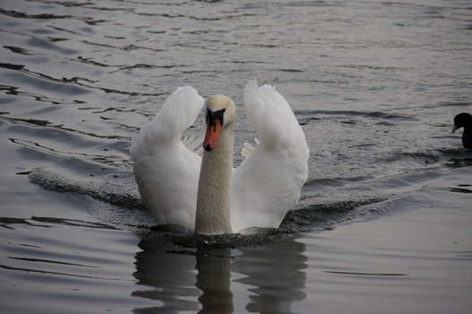 ./20080218-094528.jpg