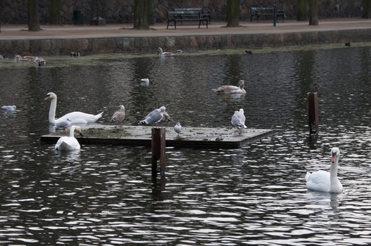 ./20080218-094748.jpg
