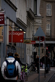 ./20080301-135408.jpg