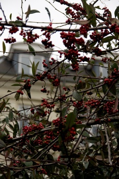 ./20080301-135457.jpg