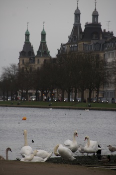 ./20080223-140758.jpg