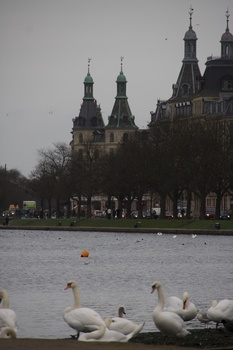./20080223-140810.jpg