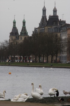 ./20080223-140841.jpg