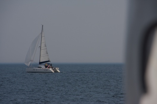 ./20080413-161027.jpg