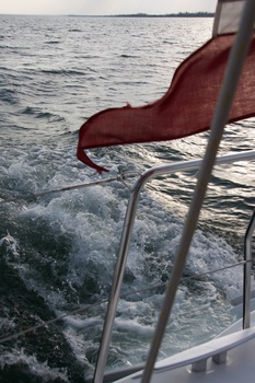 ./20080413-170358.jpg
