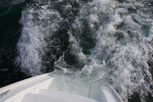 ./20080413-170455.jpg