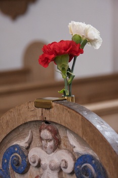 ./20100513-084332.jpg