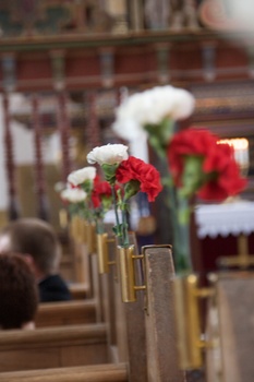 ./20100513-085733.jpg