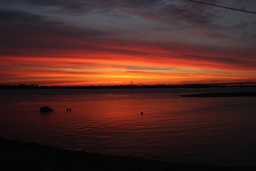 ./20110622-023752.jpg