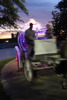 ./20110622-025112.jpg