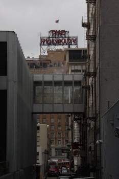 ./20110622-162651.jpg