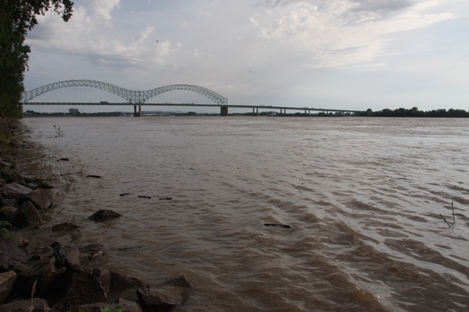 ./20110623-001244.jpg