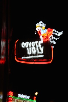 ./20110623-032834.jpg