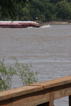 ./20110623-200805.jpg