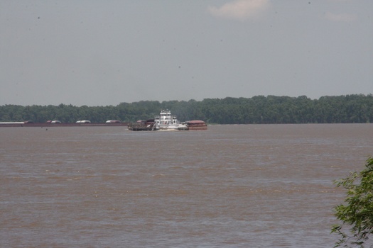 ./20110623-200922.jpg