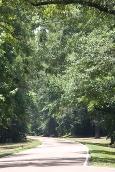 ./20110624-191723.jpg