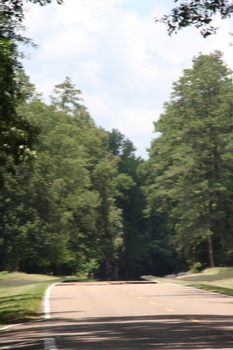 ./20110624-191731.jpg