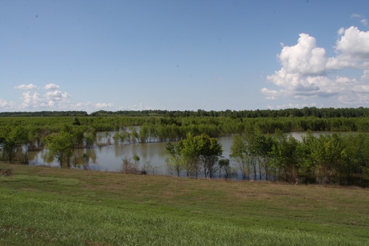 ./20110624-222949.jpg