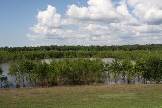 ./20110624-222956.jpg