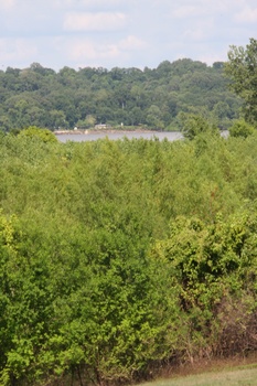 ./20110624-223001.jpg