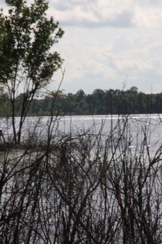 ./20110624-232906.jpg