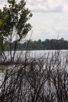 ./20110624-232908.jpg