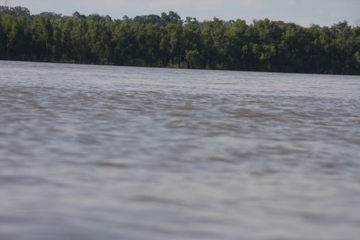./20110624-232948.jpg