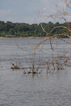 ./20110624-233008.jpg