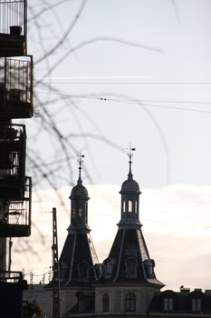 ./20080216-100144.jpg