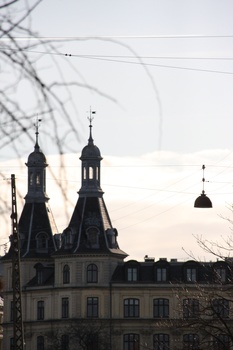 ./20080216-100155.jpg